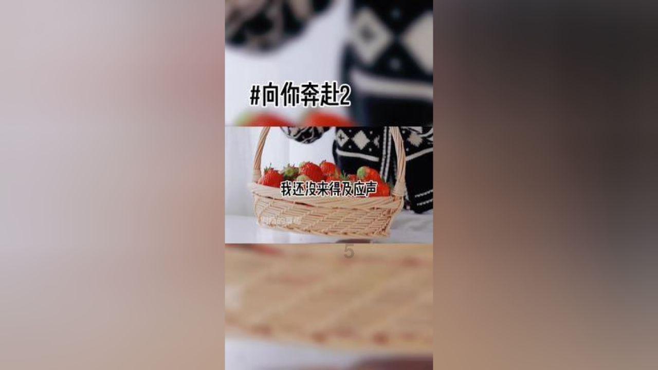 偶像经纪人