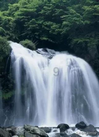 以撒的结合：重生
